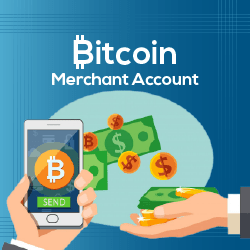 Bitcoin Merchant Accounting